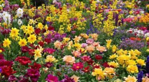 continuous color garden strategy