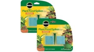 indoor plant food spikes