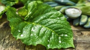 leaf curl issues resolved