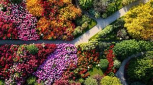 year round garden planning